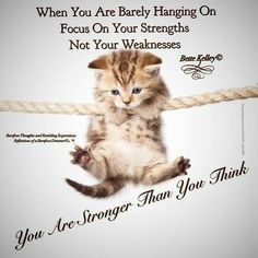 a kitten is sitting on a rope with the caption, when you are barely hanging on focus on your strengths not your weaknesss