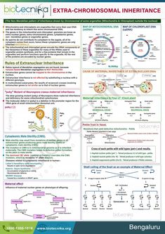 an extra - chromosal infliancence poster with diagrams on it