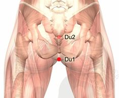 Top 6 Acupressure Points to Start Your Day – Cupping Points, Acupressure Points Chart, Acupressure Chart, Acupressure Point, Pressure Point Therapy, Remove Blackheads From Nose, Neck Ache, Body Facts, Acupuncture Point