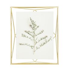 a white and gold frame with a small plant in it's center, against a white background