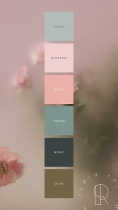 This contains a colour palette made up of olive green, dark night green, ocean teal, rose pink, soft pink and grey. Earthy Color Palette With Pink, Rustic Pink Color Palette, Design Studio Color Palette, Pink And Green Pictures, Sky Colour Palette, Cute Colour Palette, Green Pink Color Palette, Pink Colour Palettes, Colour Palette Summer