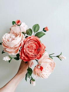 a person's hand holding pink flowers on a white background with green leaves and buds