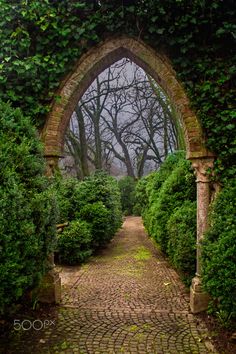 an arch in the middle of a brick walkway surrounded by green bushes and shrubbery