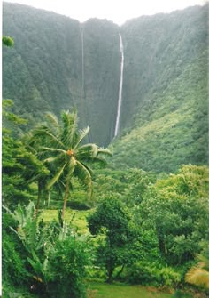 a lush green forest filled with trees and a waterfall surrounded by mountains in the distance