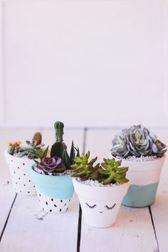 three potted plants sitting on top of a white wooden table next to each other