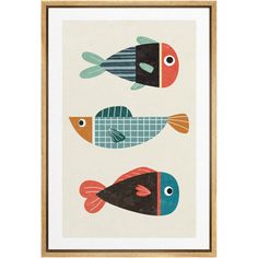 three colorful fish on a white background in a wooden frame with gold trimmings