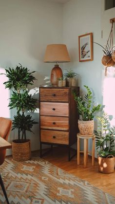 a living room filled with lots of plants next to a wooden table and chair on top of a hard wood floor