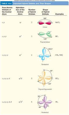 the diagram shows different types of butterflies