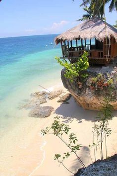 a hut sitting on top of a cliff next to the ocean with palm trees around it