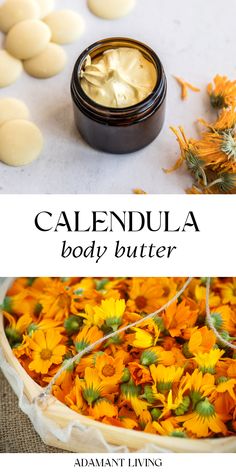 Calendula Body Butter: DIY Body Butter Recipes - Looking for a non-greasy alternative to store-bought body lotions? Make your own calendula body butter with this DIY body butter recipe! Using natural ingredients, like calendula oil, a medicinal flower, you can create homemade skin care that is moisturizing. Try a body butter recipe for body care and free from harmful chemicals. With a few simple steps, you can have a luxurious and effective product at a fraction of the cost. Body Butter Recipes, Diy Body Butter Recipes, Body Butter Recipe, Herbal Remedies Recipes, Homemade Body Butter, Salve Recipes, Diy Body Butter, Lotion Recipe, Herbal Salves