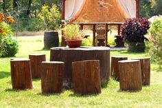 a group of wooden stumps sitting on top of a lush green field