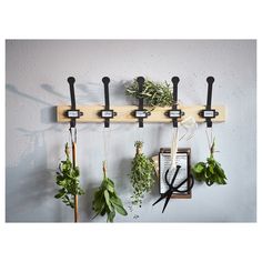 a bunch of herbs hanging on a wall