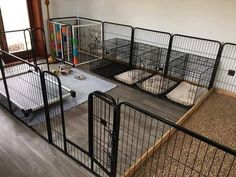 there is a dog cage on the floor in this room