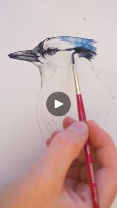 a person is drawing a bird on paper with a brush and watercolor pencils