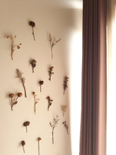 dried flowers are arranged on the wall next to a window