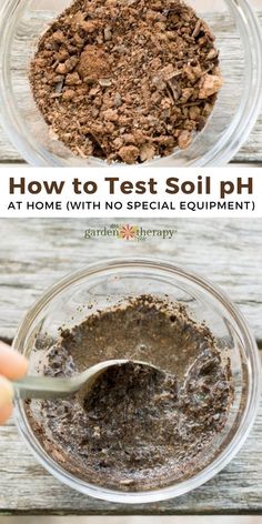 how to test soil ph at home with no special equipment