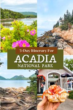 the 3 - day acadia national park is one of the best things to do in acadia