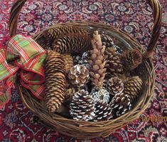 a basket filled with pine cones on top of a rug