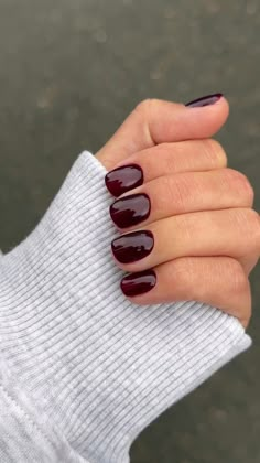 Autumnal Short Nails, Fall Nail Shapes, Nails For Autumn 2024, Short Nails Autumn 2024, Short Nails Fall Designs, Short Gel Fall Nails, Fall Nails 2024 Short, Fall Dip Colors, Nails Autumn 2024