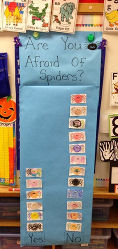 a bulletin board with pictures and words on it that says are you afraid of spiders?