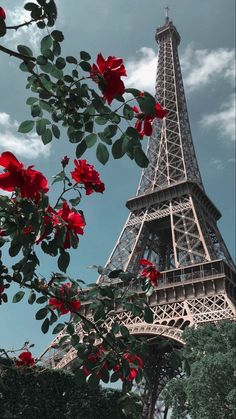 the eiffel tower is surrounded by red flowers