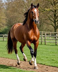 a brown horse galloping on the grass near a fence