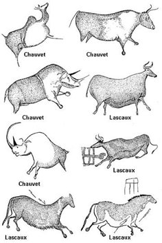 the different types of animals that are depicted in this diagram, which shows how to draw them