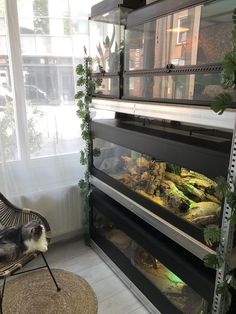 a large fish tank in the corner of a room with a chair next to it