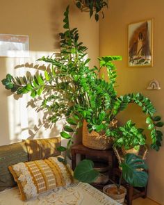 a bedroom with a bed, plants and pictures on the wall