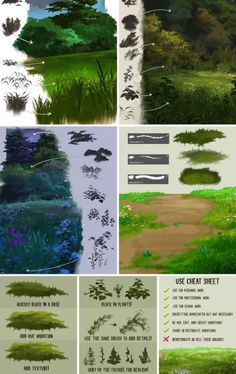 an image of different types of trees and plants