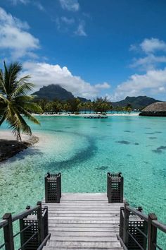 a wooden dock leading to the water with palm trees in the background on a tropical island