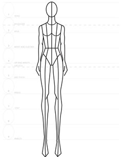 an outline drawing of a female mannequin's torso and legs, with the measurements