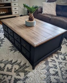 a coffee table with a potted plant on top