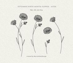 three flowers are shown in black and white with the words, september birth month flower - aster