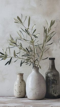 three vases with plants in them sitting on a table