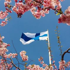 a blue and white flag flying in front of pink flowers