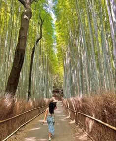 Photo taken in the bamboo garden jn Kyoto Japan Tokyo Honeymoon Aesthetic, Tourist Poses Travel, Japan Aesthetic Picture Ideas, Kyoto Japan Instagram, Japan Pictures Ideas, Japan Photo Ideas Instagram, Japan Photo Inspiration, Japan Trip Photo Ideas, Japan Aesthetic Pictures