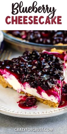 blueberry cheesecake on a plate with the rest of the pie in the background