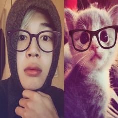 two pictures one with glasses and the other with a cat wearing a hood on it's head