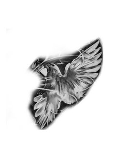 a black and white photo of a bird flying