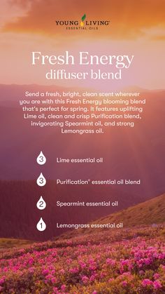 Believe Diffuser Blends Young Living, Summer Young Living Diffuser Recipes, Mother’s Day Essential Oil Blend, Essential Oils Energy, Young Living Breathe Again, Young Living Essential Oil Diffuser, Clarity Essential Oil Young Living, Purification Essential Oil