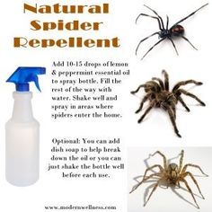 an advertisement for natural spider repellent with pictures of the various types of insects