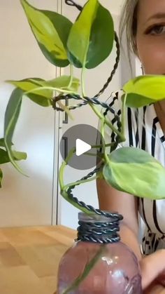 a woman sitting at a table with a plant in a vase