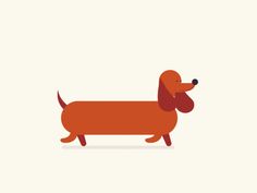 an orange dachshund dog is walking