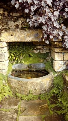 an outdoor fountain with moss growing on the sides and water running down it's side