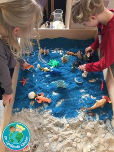 two children playing in a sand and water play area with rocks, shells, and sea animals