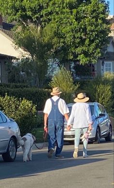 two men walking their dog down the street with cars behind them and houses in the background