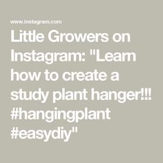 the words little growers on instagramm learn how to create a study plant hanger hangingplant easy