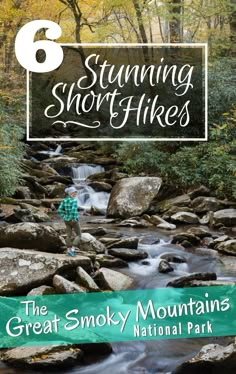 the great smoky mountains national park with text overlaying 6 stunning short hikes