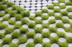 grass and rocks are arranged in the shape of a circle